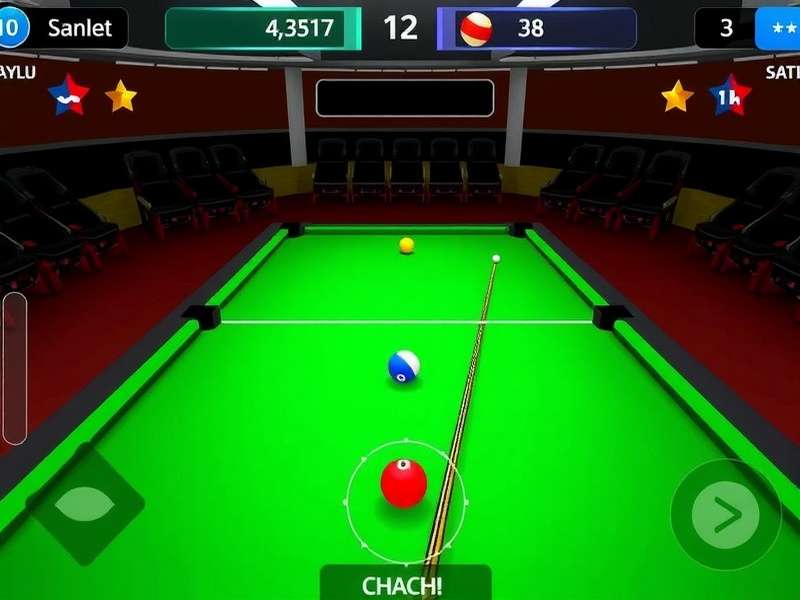Delhi Ball Pool Stars mobile interface